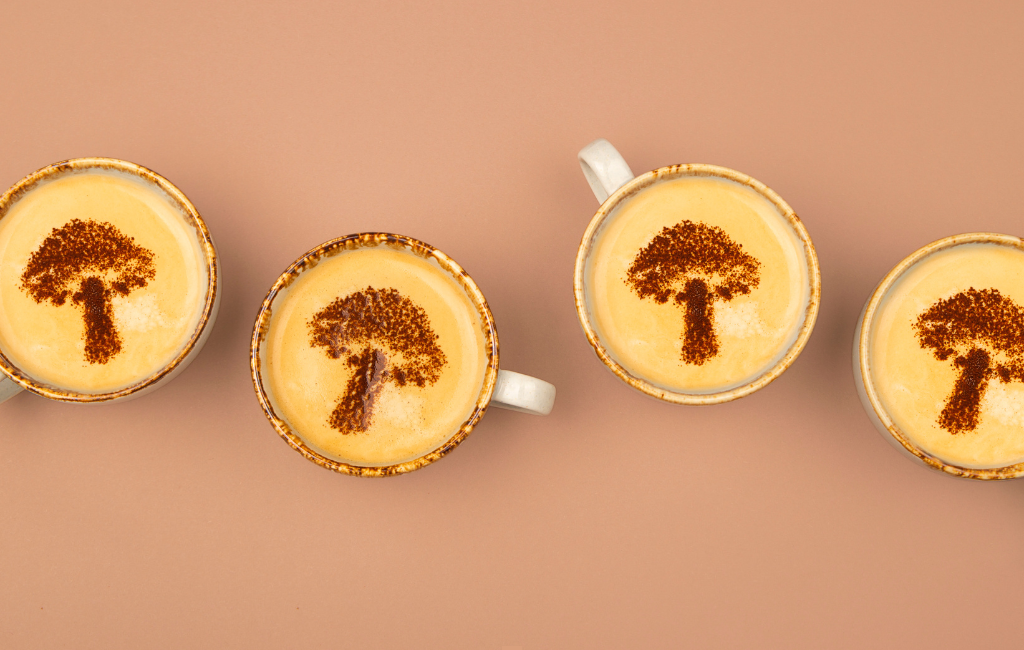 Mushroom Coffee Energize