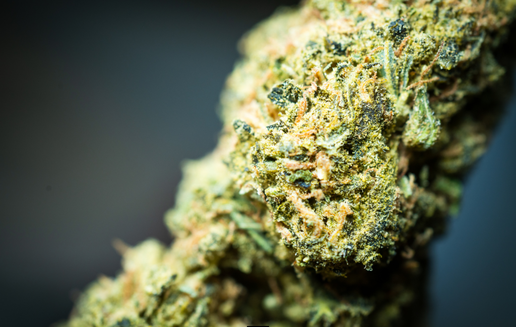 Benefits THCA Flower Discovering